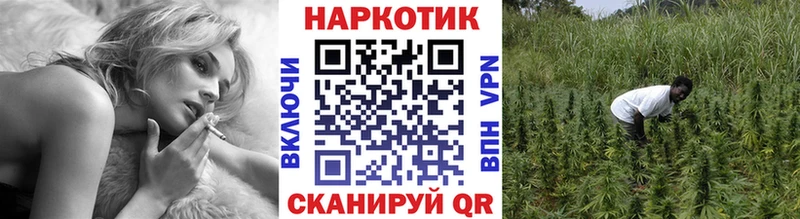 Наркота Лебедянь Канабис МЕТАМФЕТАМИН Гашиш Cocaine Псилоцибиновые грибы