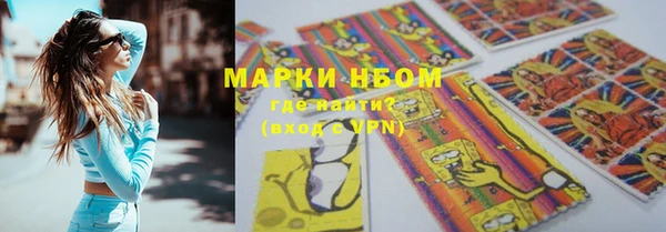 стафф Алексин